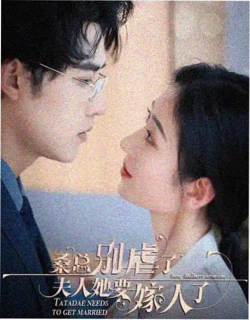 潮汐之城 电视剧免费全集播放