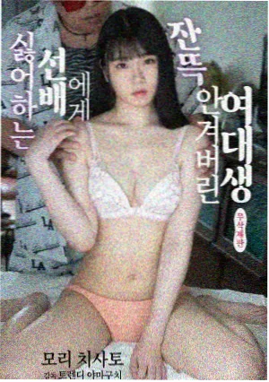 潮汐之城 电视剧免费全集在线播放